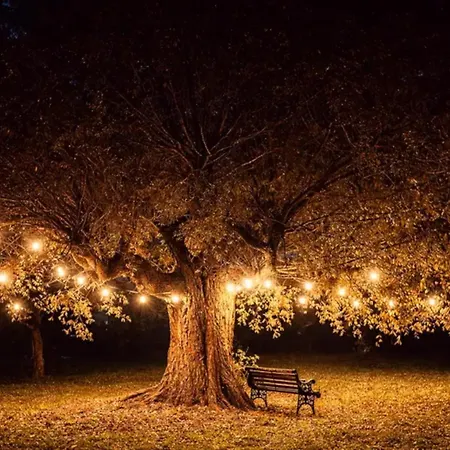 Suederhever * Tating