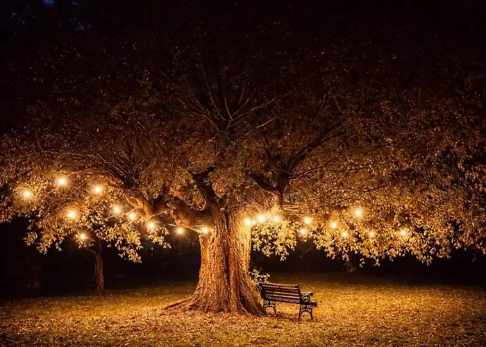 Suederhever * Tating